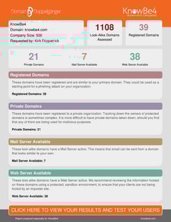 DomainDoppelgangerResults-1