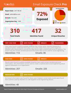 Email Exposure Check Report Containing Compromised Emails