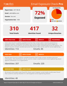 Email Exposure Check Report Containing Compromised Emails