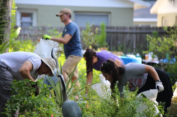 Farm 527 Clean Up Community Garden 2