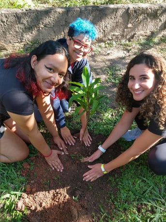 Brazil tree planting (1)