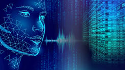 Hybrid Vishing Attacks