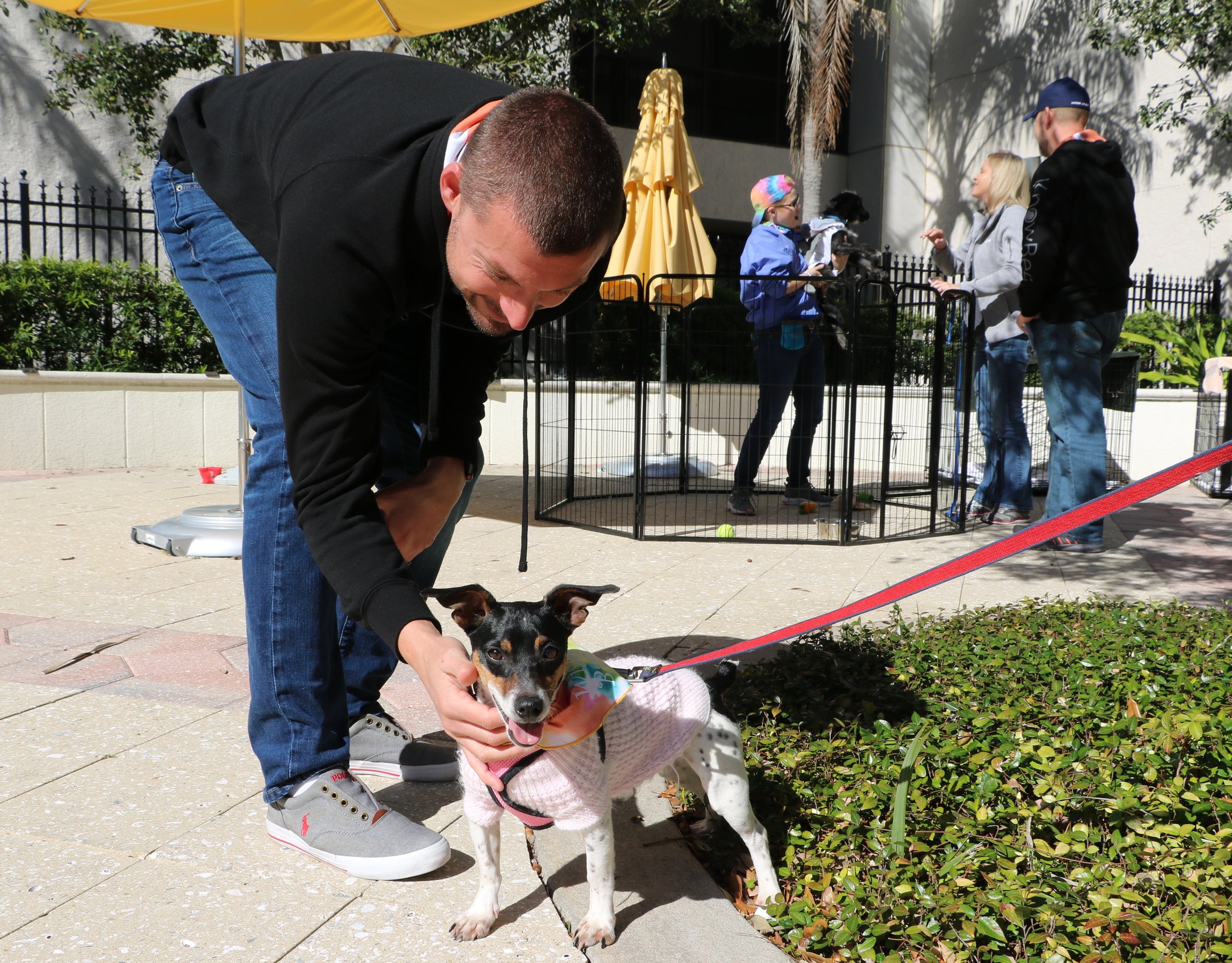 KnowBe4's Pet Adoption Drive!