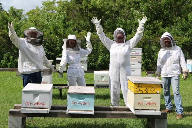 11 beehives for 11 years!