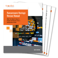 Ransomware Hostage Rescue Manual