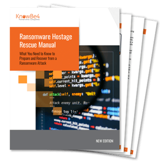 Ransomware-Hostage-Rescue-Manual