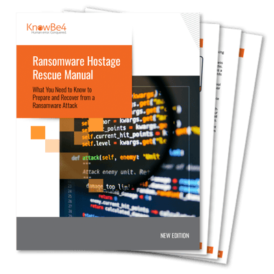 RansomwareRescueManual-2024-fanned-1