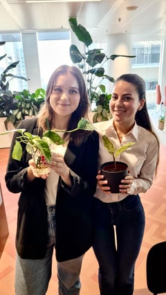 2. Plant Swap - NL 1000047753