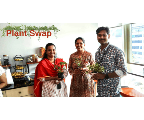 plant swap
