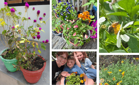 Pollinator plants, earth month 2025 (1)