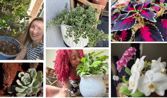 plant appreciation day 2025 (1)