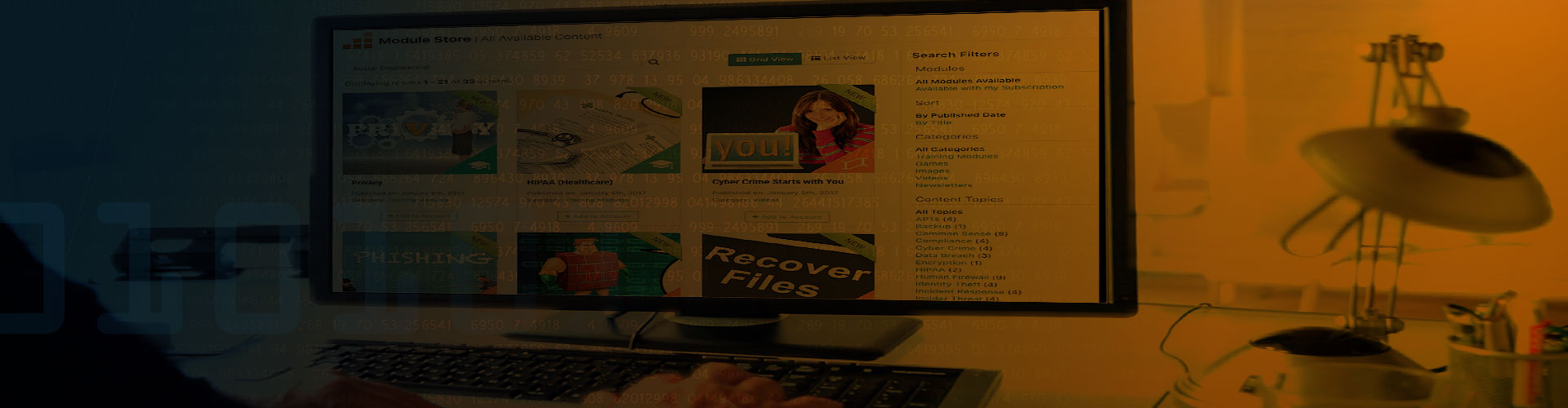 modstore-header.jpg