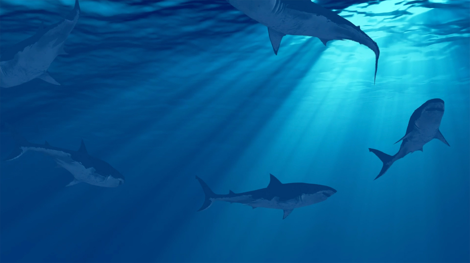 shark-looping-still-1