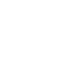 Publix