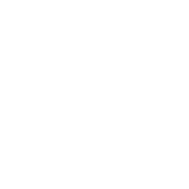 Diunsa