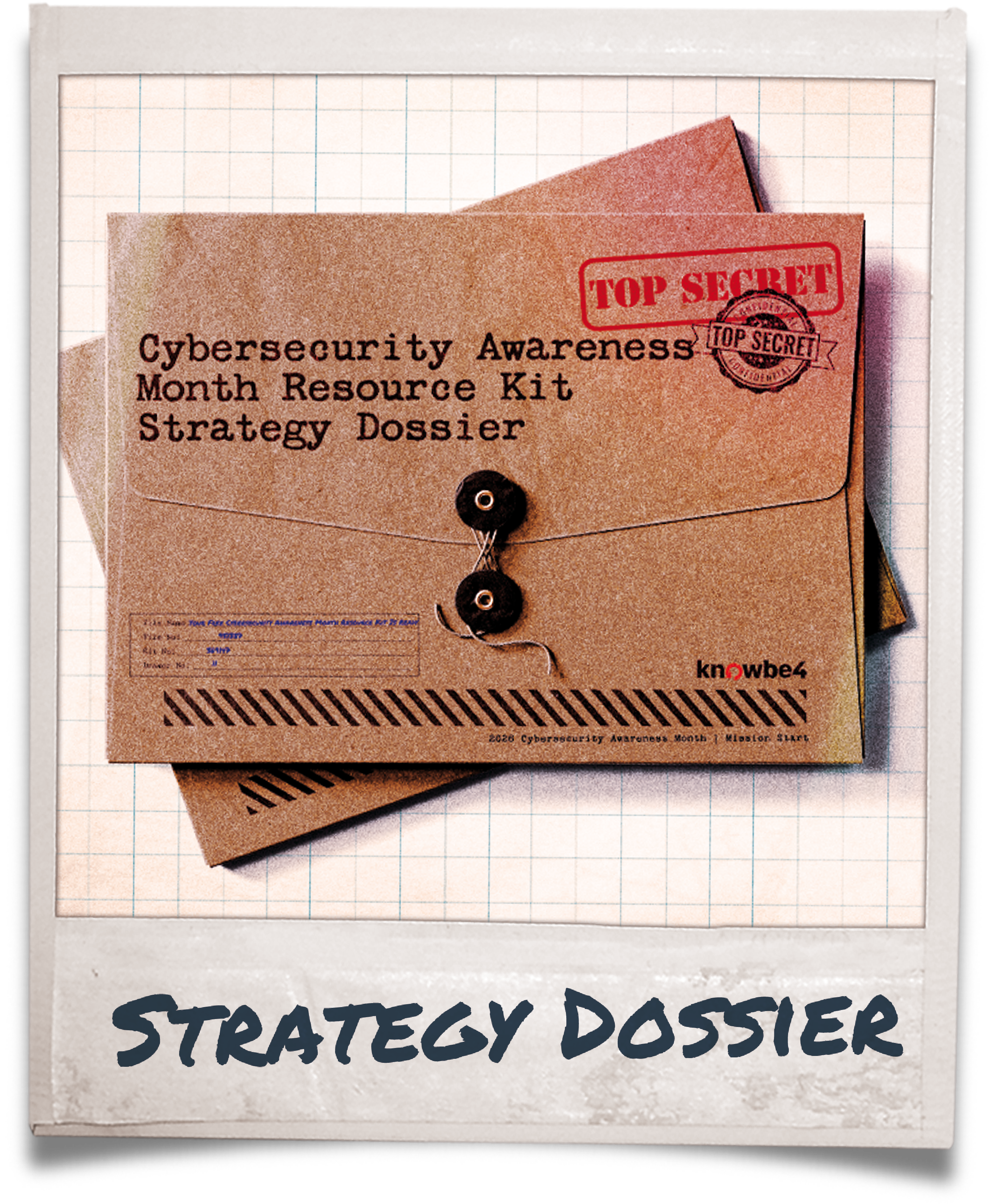 strategy-dossier-polariod