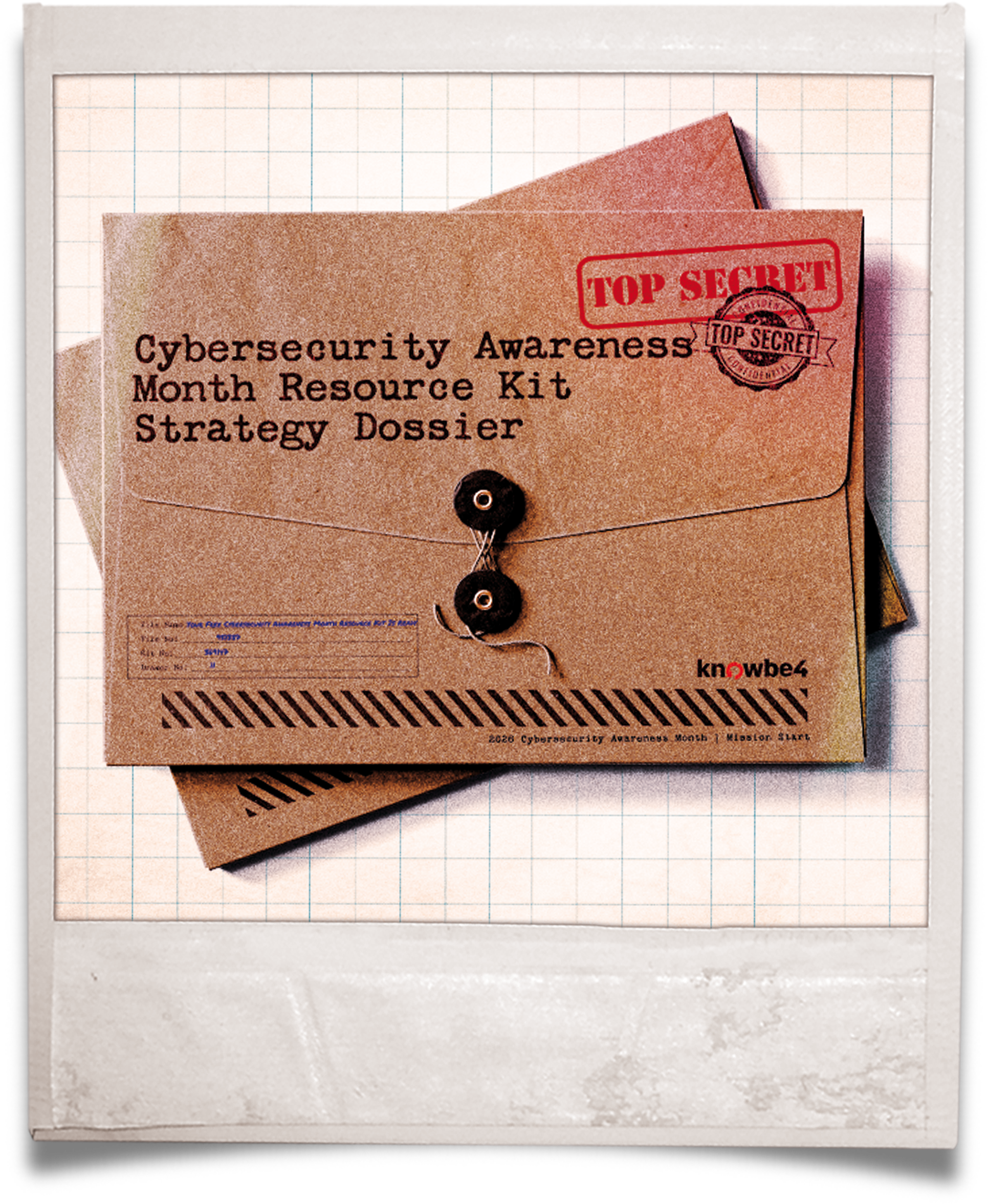 section-03-strategy-dossier-polariod-no-text