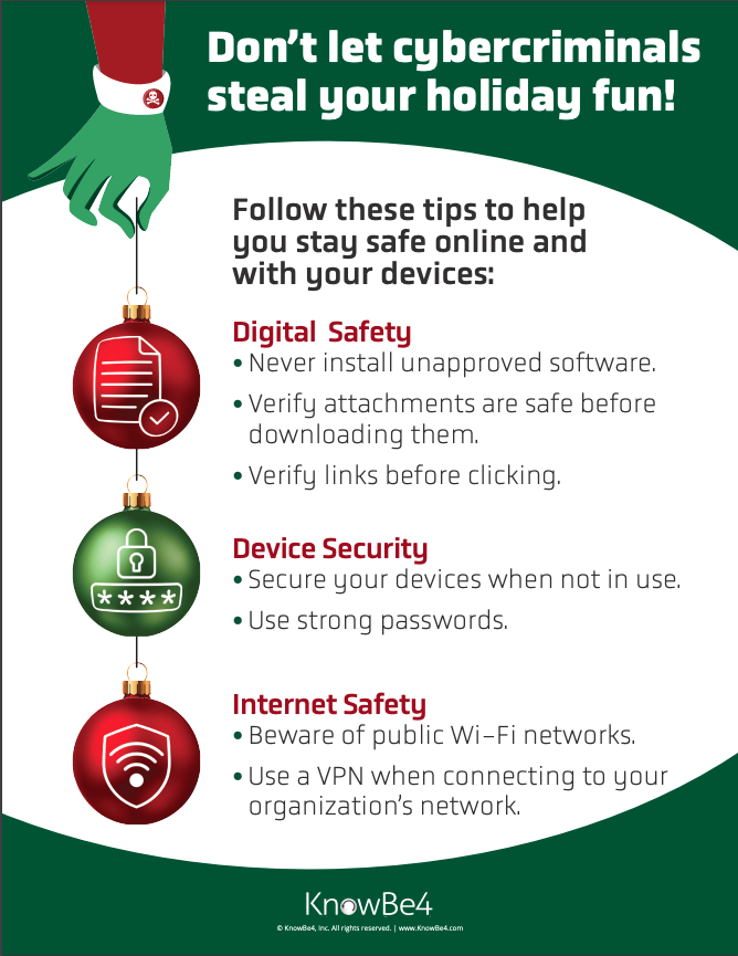 Staying Safe for the Holidays Security Tips