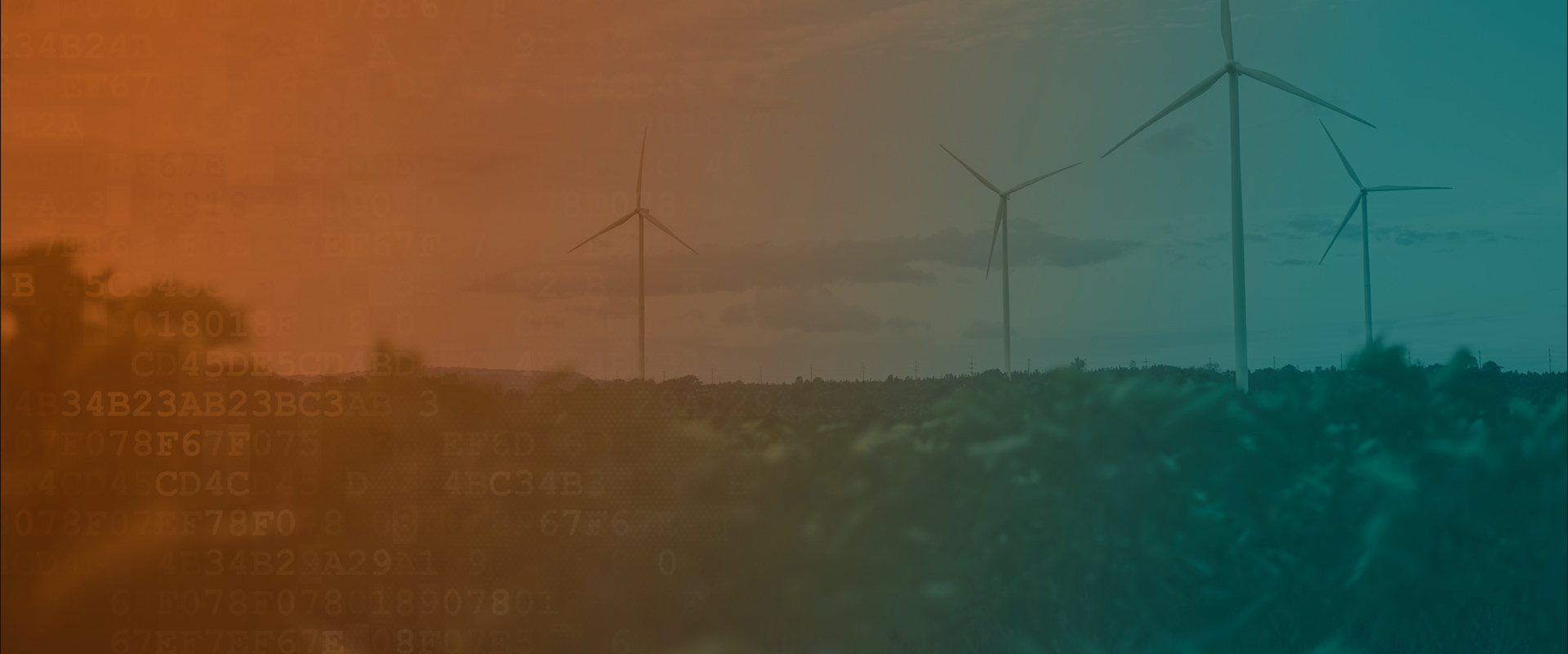Sustainability