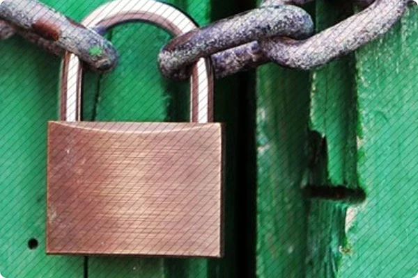 How To Fortify Your Organization's Last Layer of Security - Your Employees Image 